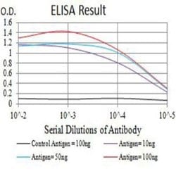 IL-9R Antibody (4A11H2) - BSA Free, Novus Biologicals 0.1 ml; Unconjugated:Antibodies,