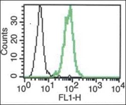 IL18R1 Mouse anti-Human, Clone: B-E43, Novus Biologicals 500 &mu;g; Unconjugated:Antibodies,