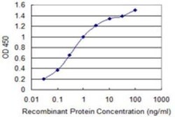 IL-36 gamma/IL-1F9 Antibody (2A8), Novus Biologicals 0.1 mg | Buy Online | Novus Biologicals | Fisher Scientific