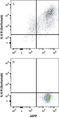 Human IL-6R alpha (Research Grade Sarilumab Biosimilar) Antibody, R D Systems