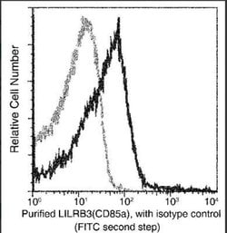 ILT5/CD85a/LILRB3 Rabbit anti-Mouse, Clone: 58, Novus Biologicals 50 &mu;g;