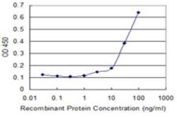INPP1 Antibody (1A6), Novus Biologicals 0.1 mg | Buy Online | Novus Biologicals | Fisher Scientific
