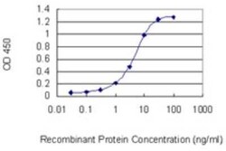 INTS6 Antibody (3D9), Novus Biologicals 0.1 mg | Buy Online | Novus Biologicals | Fisher Scientific