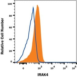 Human IRAK4 Antibody, R D Systems 100 ug; Unconjugated:Antibodies, Monoclonal