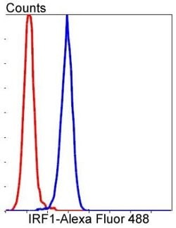 IRF1 Antibody (SR44-08), Novus Biologicals 100&mu;L:Antibodies, Monoclonal