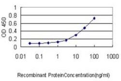 Novus Biologicals IRF9 Antibody (1D11), Novus Biologicals 0.1 mg | Buy Online | Novus Biologicals&trade; | Fisher Scientific