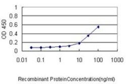 ISG20 Antibody (1B2-3C9), Novus Biologicals 0.1 mg | Buy Online | Novus Biologicals | Fisher Scientific
