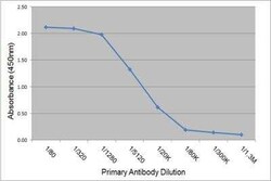 IgE Antibody (3H10), Novus Biologicals 0.025 mg; Unconjugated:Antibodies,