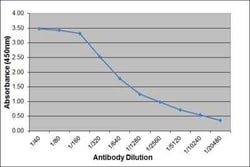IgE Antibody (3H10), Novus Biologicals 0.025 mg; Unconjugated:Antibodies,