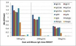 IgG Antibody (RMG07), Novus Biologicals&trade;