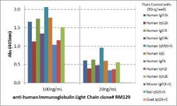 Ig Light Chain Antibody (RM129), Novus Biologicals 100 &mu;g, Unconjugated:Antibodies,