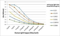 Ig Light Chain Antibody (RM129), Novus Biologicals 100 &mu;g, Unconjugated:Antibodies,
