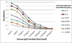 Ig Light Chain Antibody (RM129), Novus Biologicals 100 &mu;g, Unconjugated:Antibodies,