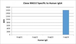 IgG4 Fc Antibody (RM217), Novus Biologicals 100 &mu;g; Unconjugated:Antibodies,