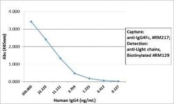 IgG4 Fc Antibody (RM217), Novus Biologicals 100 &mu;g; Unconjugated:Antibodies,