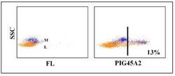 IgM Antibody (PIG45A2), Novus Biologicals 0.1mg:Antibodies, Monoclonal