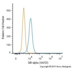 IkB-alpha Antibody (6A920) - Azide and BSA Free, Novus Biologicals 0.1