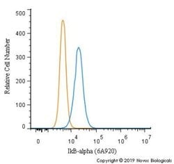 IkB-alpha Antibody (6A920) - Azide and BSA Free, Novus Biologicals 0.1