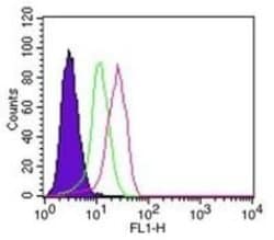 IkB-alpha Antibody (6A920) - Azide and BSA Free, Novus Biologicals 0.1