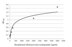 Influenza A H1N1 Nucleoprotein Antibody (GT1236) - (A/WSN/1933), Novus