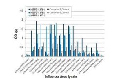 Influenza A H3N2 Nucleoprotein Antibody (HL1078) - (A/Kansas/14/2017), Novus Biologicals 100 &mu;g | Buy Online | Novus Biologicals | Fisher Scientific