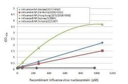 Influenza A H3N2 Nucleoprotein Antibody (HL1078) - (A/Kansas/14/2017), Novus Biologicals 100 &mu;g | Buy Online | Novus Biologicals | Fisher Scientific