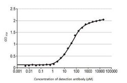 Influenza A H3N2 Nucleoprotein Antibody (HL1089) - (A/Kansas/14/2017), Novus Biologicals 100 &mu;g | Buy Online | Novus Biologicals | Fisher Scientific