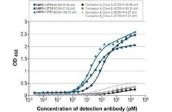 Influenza A H3N2 Nucleoprotein Antibody (HL1089) - (A/Kansas/14/2017), Novus Biologicals 100 &mu;g | Buy Online | Novus Biologicals | Fisher Scientific