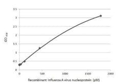 Influenza A nucleoprotein Antibody (HL1098), Novus Biologicals 100 &mu;g | Buy Online | Novus Biologicals | Fisher Scientific