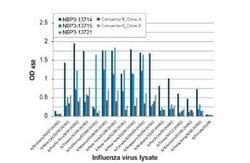 Influenza A H3N2 Nucleoprotein Antibody (HL1103) - (A/Kansas/14/2017),