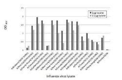 Influenza A H3N2 Nucleoprotein Antibody (HL1103) - (A/Kansas/14/2017),