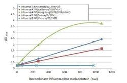 Influenza A H3N2 Nucleoprotein Antibody (HL1103) - (A/Kansas/14/2017),