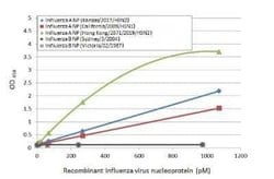 Influenza A H3N2 Nucleoprotein Antibody (HL1103) - (A/Kansas/14/2017),