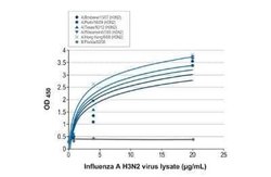 Influenza A H3N2 Nucleoprotein Antibody (HL1103) - (A/Kansas/14/2017),