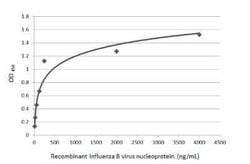 Influenza B nucleoprotein Antibody (GT371) - (B/Taiwan/753/2005), Novus Biologicals 100 &mu;g | Buy Online | Bio-Techne | Fisher Scientific