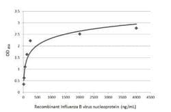 Influenza B nucleoprotein Antibody (GT382) - (B/Taiwan/753/2005), Novus Biologicals 100 &mu;g | Buy Online | Novus Biologicals | Fisher Scientific