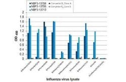 Influenza B nucleoprotein Antibody (HL1068) - (B/Taiwan/753/2005), Novus Biologicals 100 &mu;g | Buy Online | Bio-Techne | Fisher Scientific