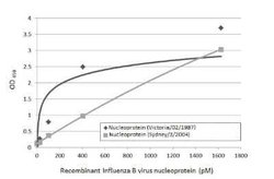 Influenza B nucleoprotein Antibody (HL1068) - (B/Taiwan/753/2005), Novus Biologicals 100 &mu;g | Buy Online | Bio-Techne | Fisher Scientific