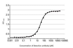 Influenza B nucleoprotein Antibody (HL1073) - (B/Taiwan/753/2005), Novus