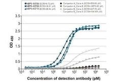 Influenza B nucleoprotein Antibody (HL1073) - (B/Taiwan/753/2005), Novus