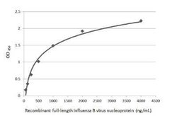 Influenza B nucleoprotein Antibody - (B/Taiwan/753/2005), Novus Biologicals 100 &mu;g | Buy Online | Novus Biologicals | Fisher Scientific