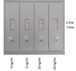 Novus Biologicals InnovaCoat (R) GOLD - 80nm Goat Anti-Rabbit IgG Gold (10OD) 1 mL | Buy Online | Novus Biologicals&trade; | Fisher Scientific