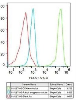 Integrin alpha 5/CD49e Rabbit anti-Human, Mouse, Rat, Clone: 8F2O6, Novus Biologicals 100 &mu;g | Buy Online | Bio-Techne | Fisher Scientific