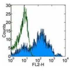 Integrin alpha 6/CD49f Antibody (GoH3) - BSA Free, Novus Biologicals:Antibodies:Primary