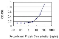 Integrin alpha 8 Antibody (2G7), Novus Biologicals 0.1 mg | Buy Online | Novus Biologicals | Fisher Scientific