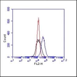 Integrin alpha V beta 3 Antibody (BV3), Novus Biologicals 50 &mu;g; Unconjugated:Antibodies,