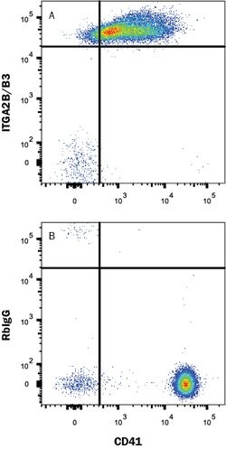 Human Integrin alpha 2b beta 3 Antibody, R D Systems 25 &mu;g; Unconjugated:Antibodies,