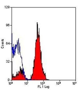 JAM-A, Rat anti-Mouse, Clone: H202-106, Novus Biologicals 250 &mu;g | Buy Online | Novus Biologicals | Fisher Scientific