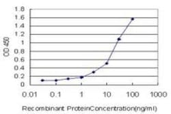 JAM-A Antibody (2E3-1C8), Novus Biologicals 0.1 mg | Buy Online | Novus Biologicals | Fisher Scientific