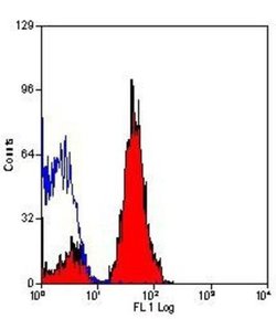 JAM-A Antibody (H202-106), Biotin, Novus Biologicals 100 &mu;g; Biotin:Antibodies,